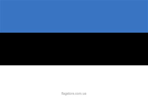 Купить флаг Эстонии (эстонский прапор) в Киеве с доставкой FlagStore.com.ua