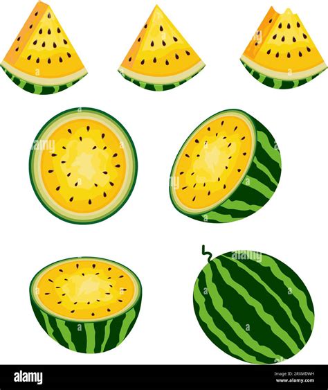 Fresh And Juicy Whole Watermelons And Slicesset Of Ripe Yellow