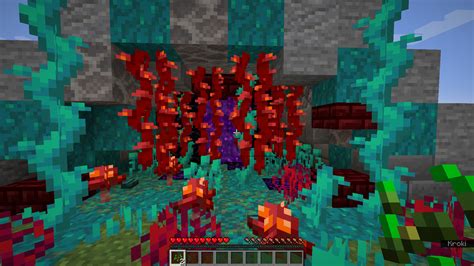 I made a nether entry for the new update. What do you think? : r/Minecraft