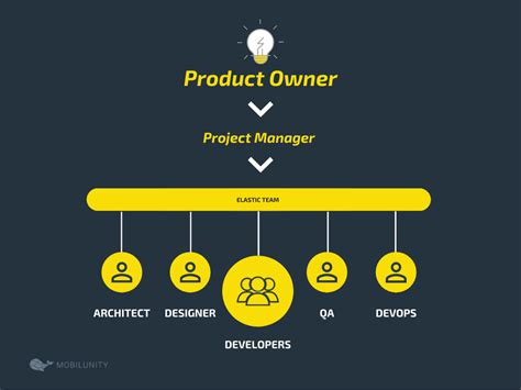 Software Development Team Structure Set Up Mobilunity