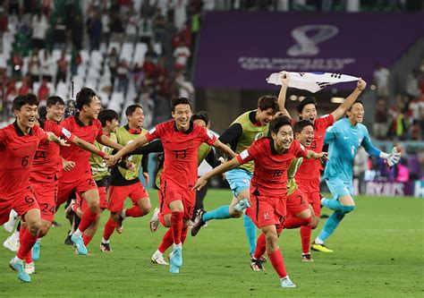 한국 축구 카타르 월드컵 최종 16위에 경북매일