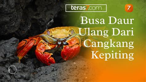 🔴 Busa Daur Ulang Dari Cangkang Kepiting Youtube