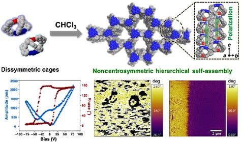 Guest Mediated Hierarchical Self Assembly Of Dissymmetric Organic Cages