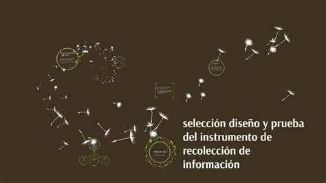 selección diseño y prueba del instrumento de recolección de información