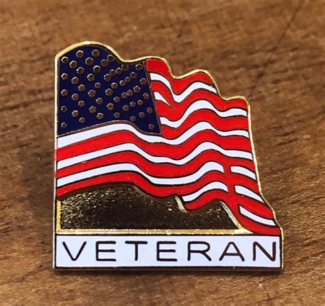 Veteran Flag Lapel Pin National Desert Storm Memorial Association