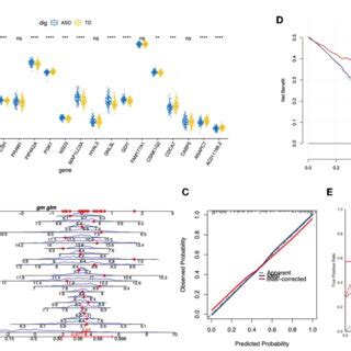 FIGURE Construction And Validation Of ASD Diagnosis Nomogram A A