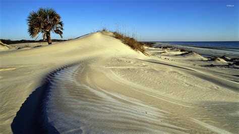 Cumberland Island National Seashore wallpaper - Beach wallpapers - #2434