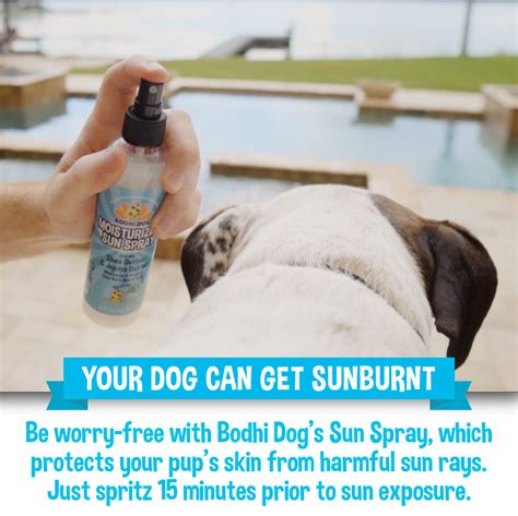 Pet Sun Spray – Bodhi Dog