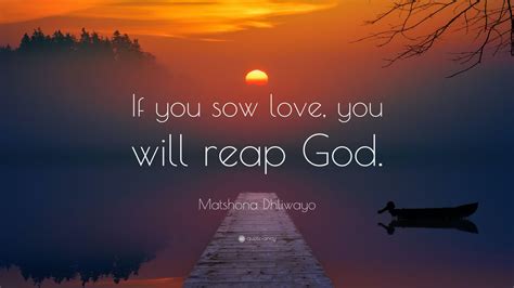 Matshona Dhliwayo Quote If You Sow Love You Will Reap God