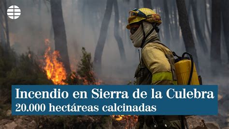 El Incendio De La Sierra De La Culebra En Zamora Ha Calcinado Ya