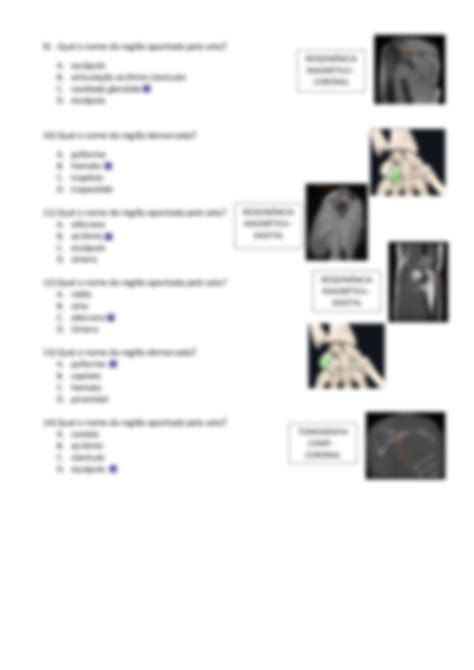 Solution Quiz Anatomia Radiol Gica Studypool