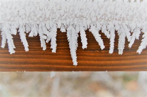 Premium Photo Close Up Of Snowflakes On Snow