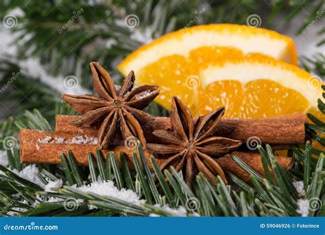 Christmas Spices Stock Photo Image Of Cinnamon Green 59046926