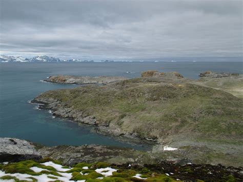 Stacey In Antarctica 2018