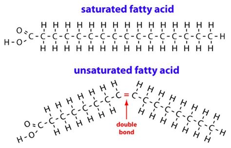 The Truth About Saturated Fat - Pinoria