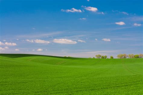 Images Gratuites Paysage Arbre La Nature Herbe Horizon Nuage