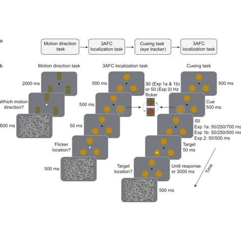 A Schematic Illustration Of The Procedure In Experiments 1a And 1b A