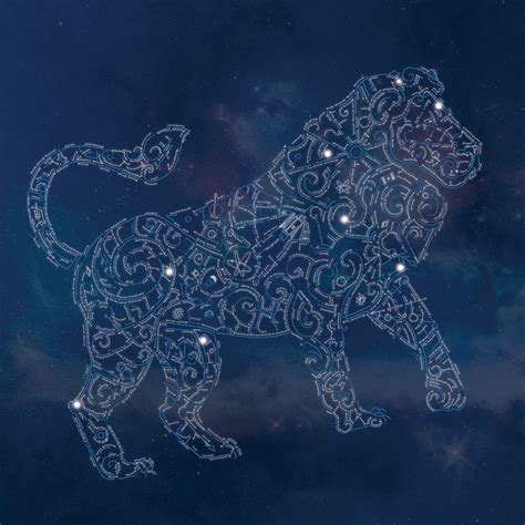 Zodiac 12 Constellation On Behance Zodiac Constellations Lion