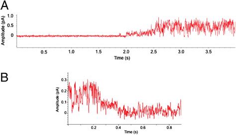 Single Channel Basis For The Slow Activation Of The Repolarizing