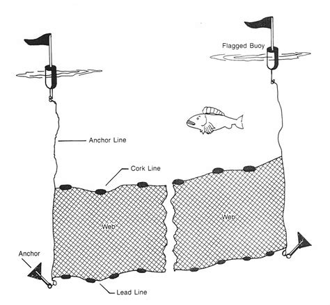 Fishing Gear And Methods California Sea Grant