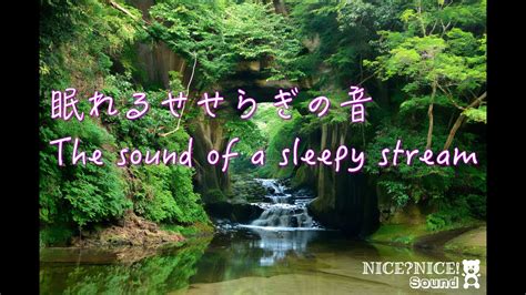 【asmr】眠れるせせらぎの音the Sound Of A Sleepy Streamsleep森林湧水【環境音】 Youtube