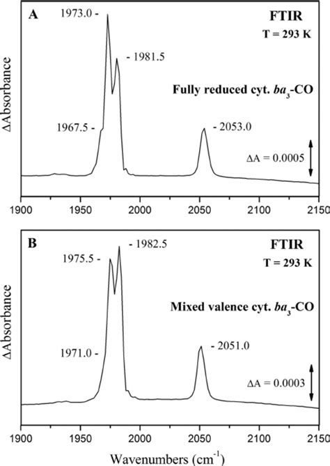 Absolute FTIR Spectra Of Cytochrome Ba 3 CO A Shown Is A FTIR