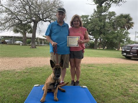 The Tesla Cowboy On Twitter Zeus Graduated Puppy Camp Yesterday Thus