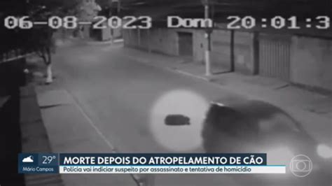 Vídeo Suspeito de matar homem por causa do atropelamento de um cão é