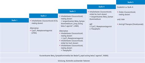 Aktuelle Therapie Des Asthma Bronchiale Heftarchiv Amt