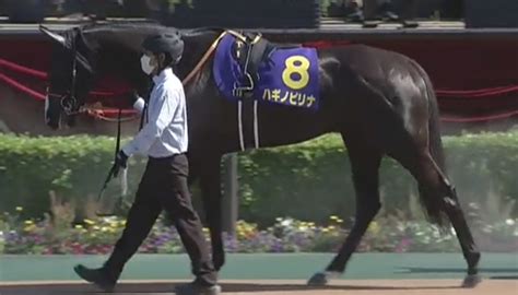 オークス2021結果＆馬体診断・優勝はユーバーレーベン 競馬で生活する僕は