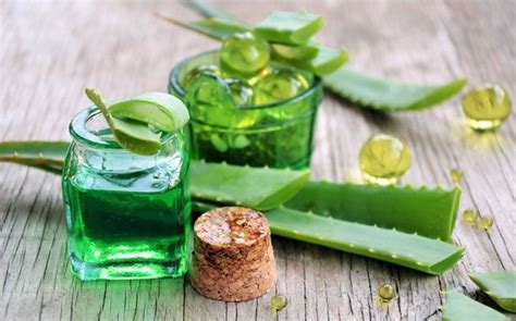 Aloe Vera Uses And Side Effects Healthkart