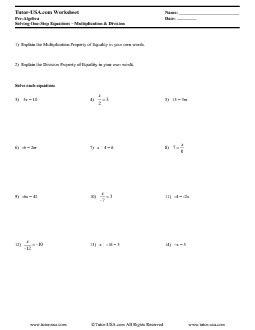 Division One Step Equations