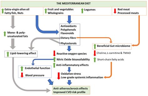 Nutrients Free Full Text Cardiovascular Disease And The