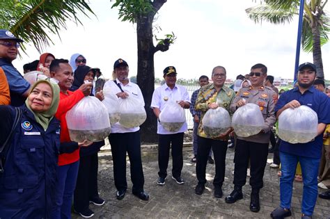 Gerakan Tebar Benih Ikan Pemprov Sulsel Bantu Ekonomi Masyarakat Bitoa