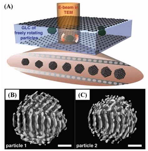 Investigating Dynamic Processes Of Nanomaterials Using In Situ Liquid Phase Tem Technologies