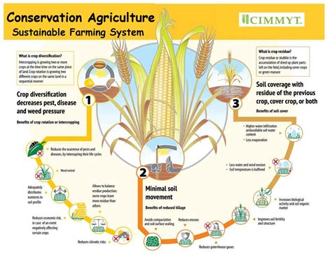 Conservation Agriculture Key To Climate Resilient Farming Systems