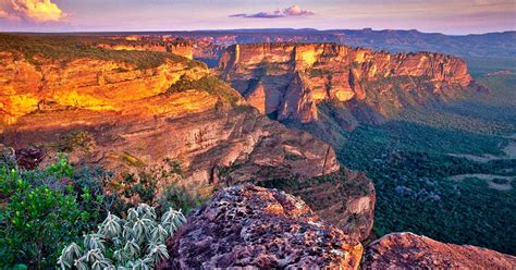 Qual a melhor época para ir a Chapada dos Guimarães SagiTrip