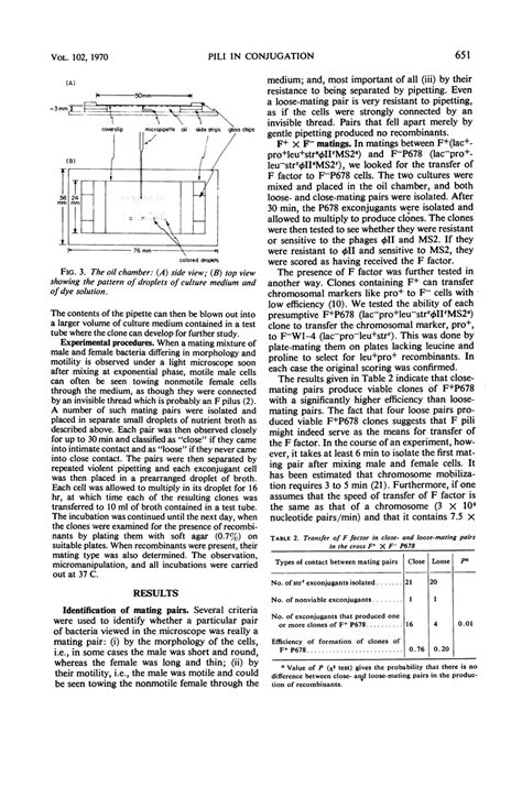 role  pili  bacterial conjugation pmc