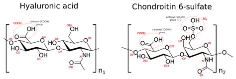 Polymers Free Full Text Hyaluronan Chondroitin Sulfate Anomalous