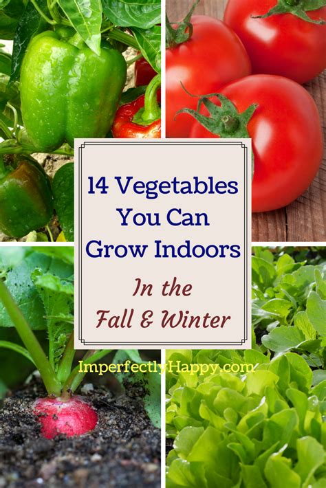 14 Vegetables You Can Grow Indoors In The Fall Winter Garden All