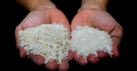 PhilRice Mandate Half Cup Rice Serving To Address P7 M Year Wastage