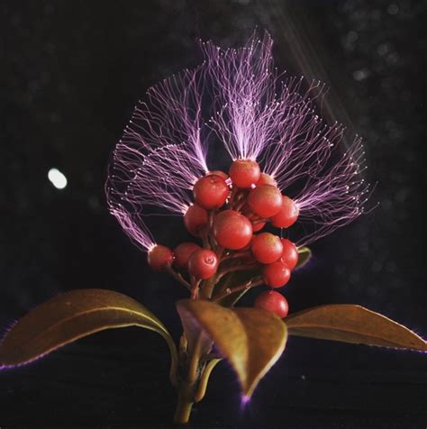 Uncovering the Aura SECRETS of Kirlian Photography