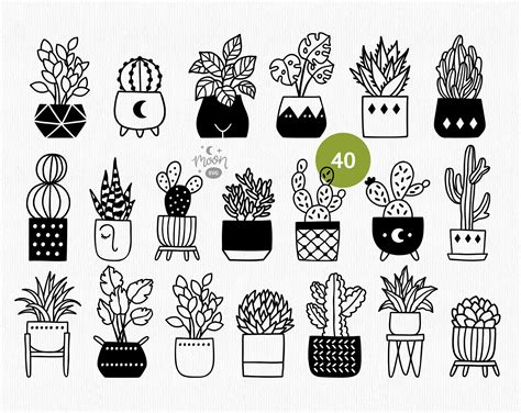 Cactus Svg Bundle Potted Plants Svg Succulent Svg Cut Files Etsy