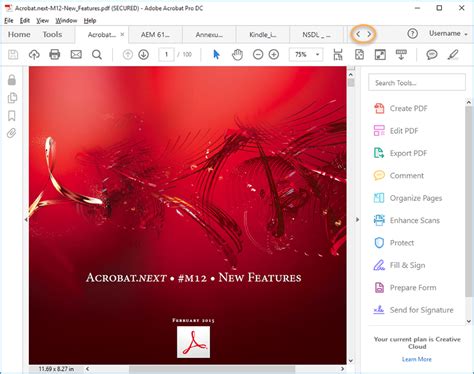 Adobe Acrobat Workspace Basics In Acrobat 2017 And Acrobat Dc Classic 2015