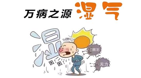 中医湿气的辨识