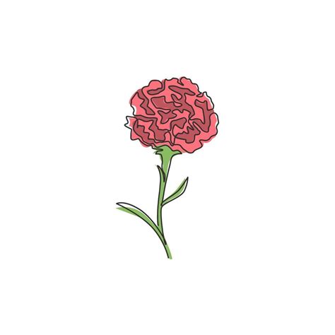 One Continuous Line Drawing Beauty Fresh Carnation For Home Wall Art