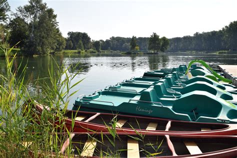 Bezirk Tulln Ungetr Bter Badespa Tulln