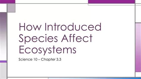 Ppt How Introduced Species Affect Ecosystems Powerpoint Presentation Id 2382107