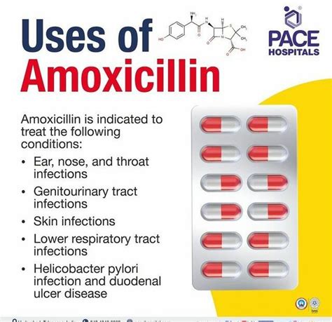 What Diseases Can Amoxicillin Cure A Comprehensive Guide