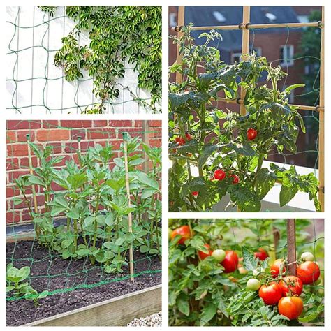 Red De Escalada De Plantas Para Apoyar Petunias Lirios Esponjas Y